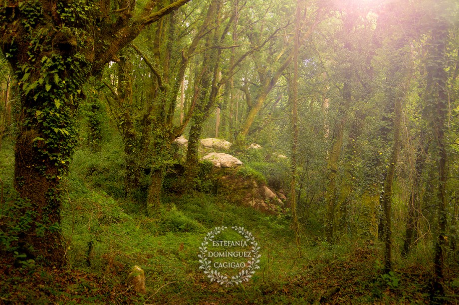 PENA-DA-MOURA_2_1096